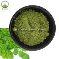 Extrait de poudre de moringa biologique en stock